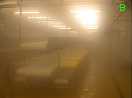 Factory floor with extensive aerosols and water vapour