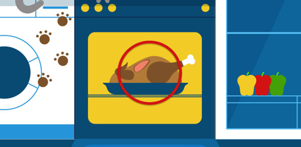 illustrated image of a chicken cooking in an over. A red circle is over it to show the meat is pink.