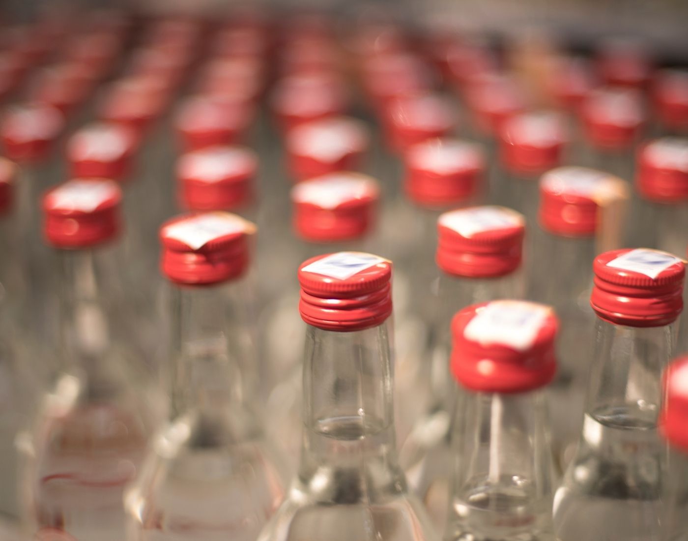 Rows of glass bottles containing clear alcoholic spirits with red caps