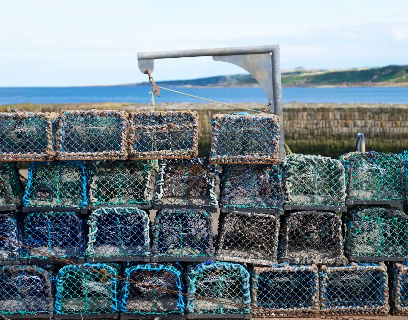 Stack of netted lobster creels at Peterhead harbour