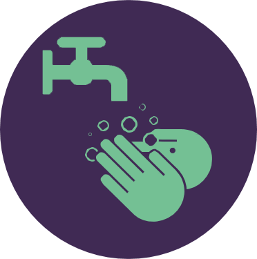 purple circle showing handwashing 