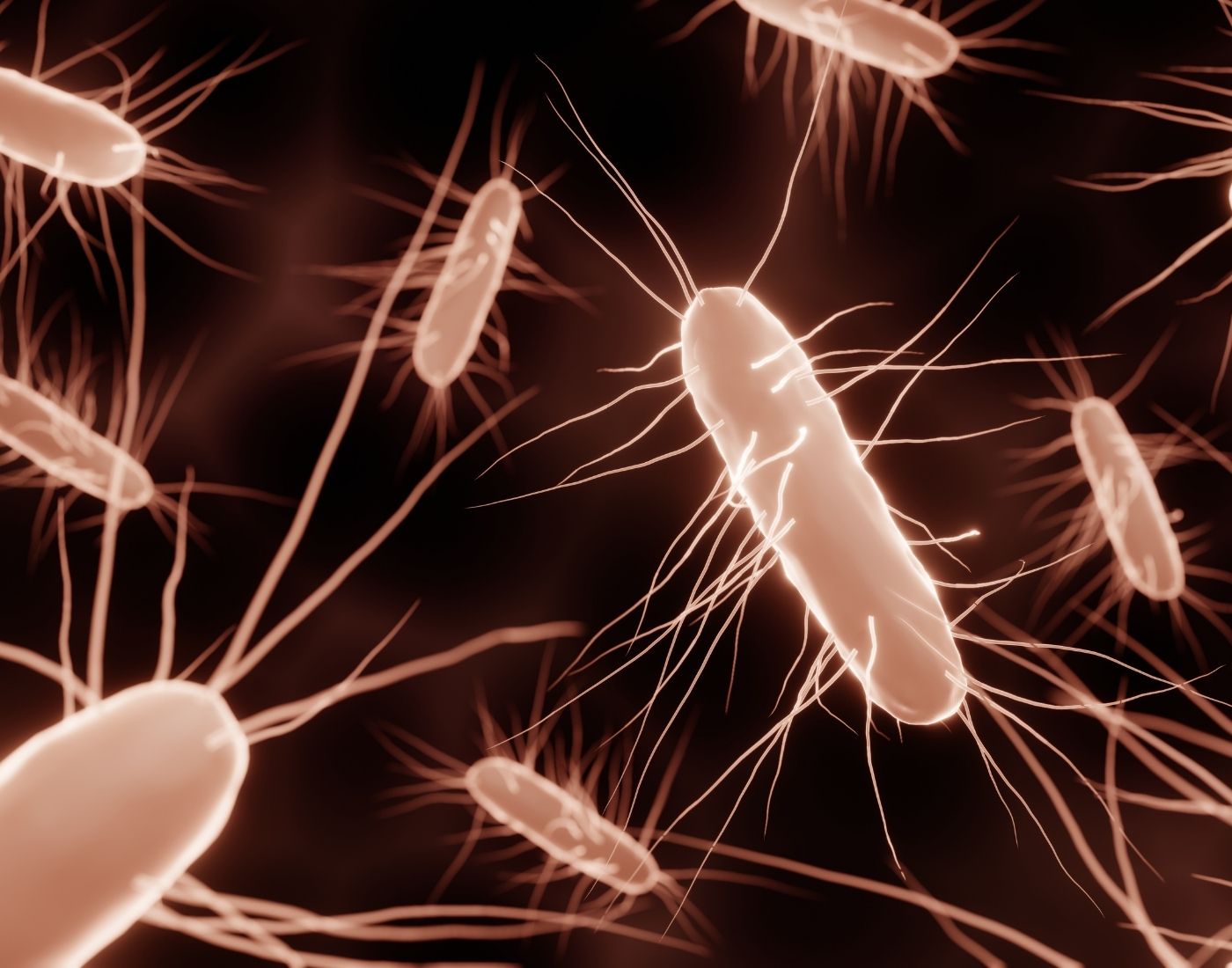 Close up of food poisoning causing salmonella bacteria. They're long in shape with strings coming off them.