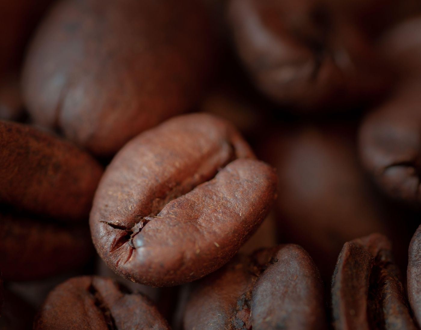 "Close-up view of several roasted coffee beans, showcasing their rich brown colour, textured surface, and distinctive shape.