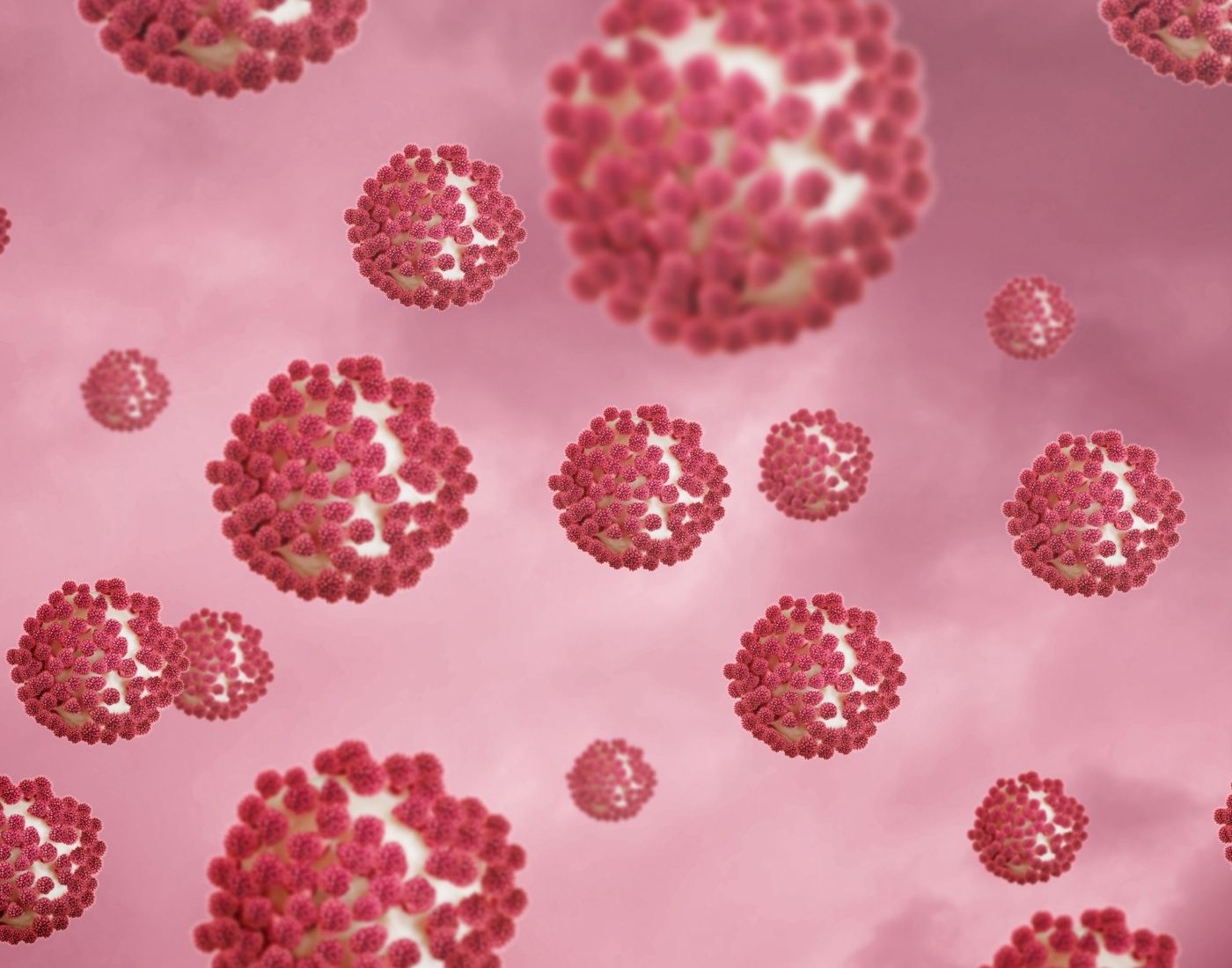 Close up of virus causing food poisoning