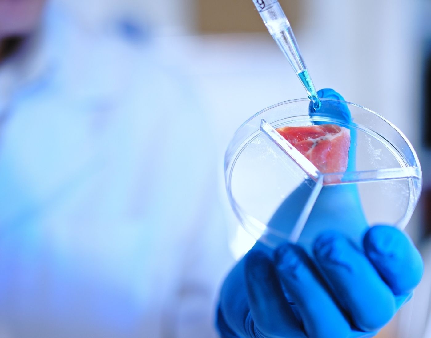 Scientist adding chemical to piece of meat in a petri dish
