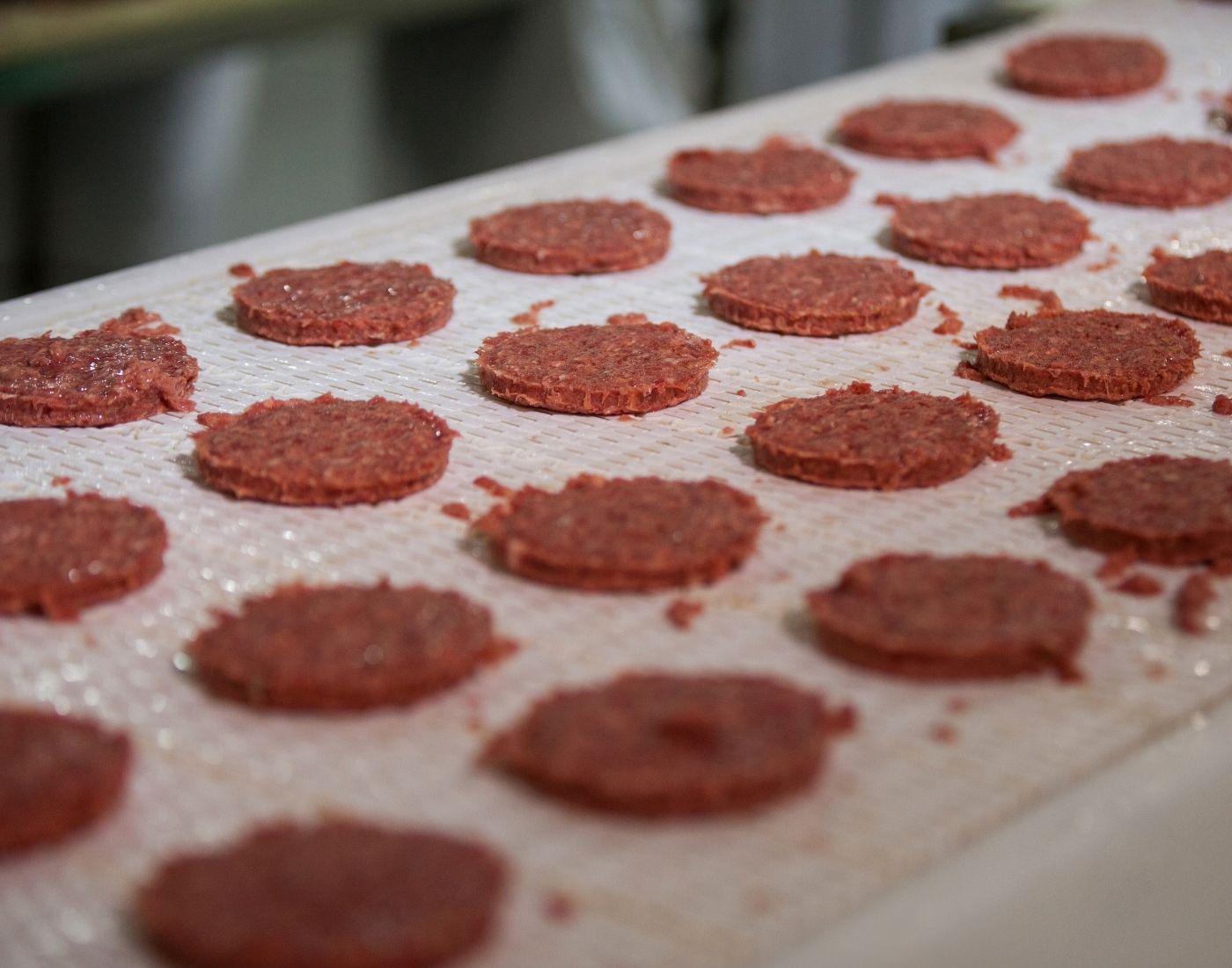 Raw hamburger patties arranged in rows on a conveyor belt in a food processing facility.