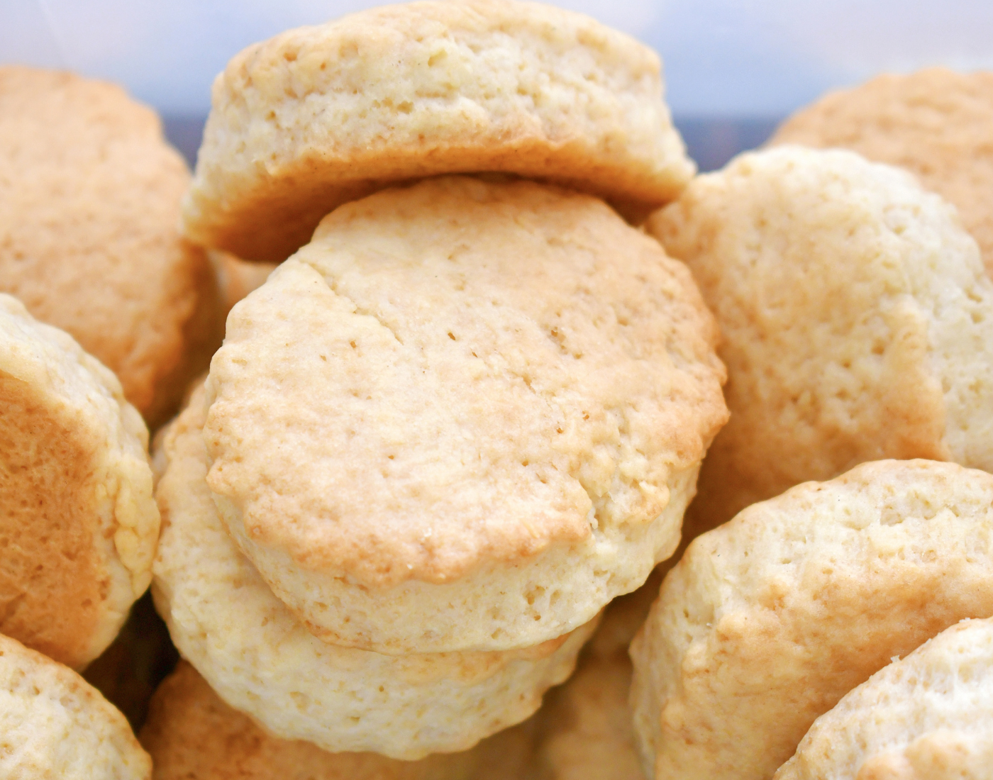 A pile of plain scones 