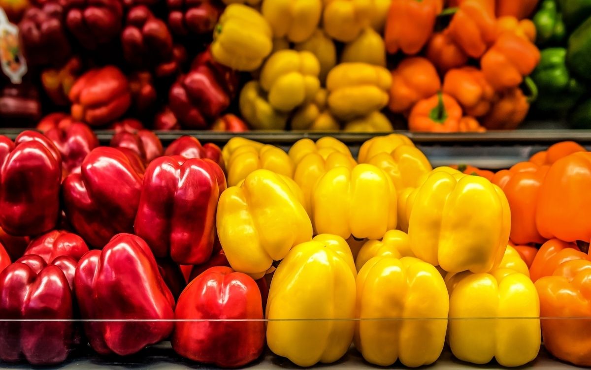 Colorful display of red, yellow, and orange bell peppers arranged in rows on a grocery store shelf.