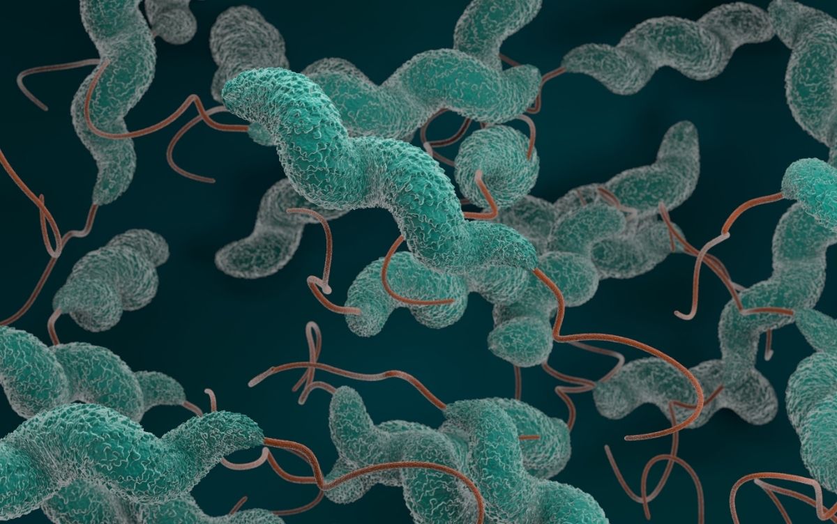 Digital illustration depicting bacteria against a dark background.