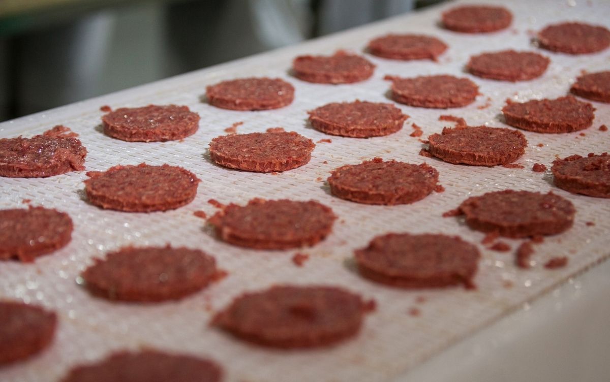 Rows of raw burger patties on a conveyor belt in a food production facility, illustrating the industrial process of meat patty manufacturing