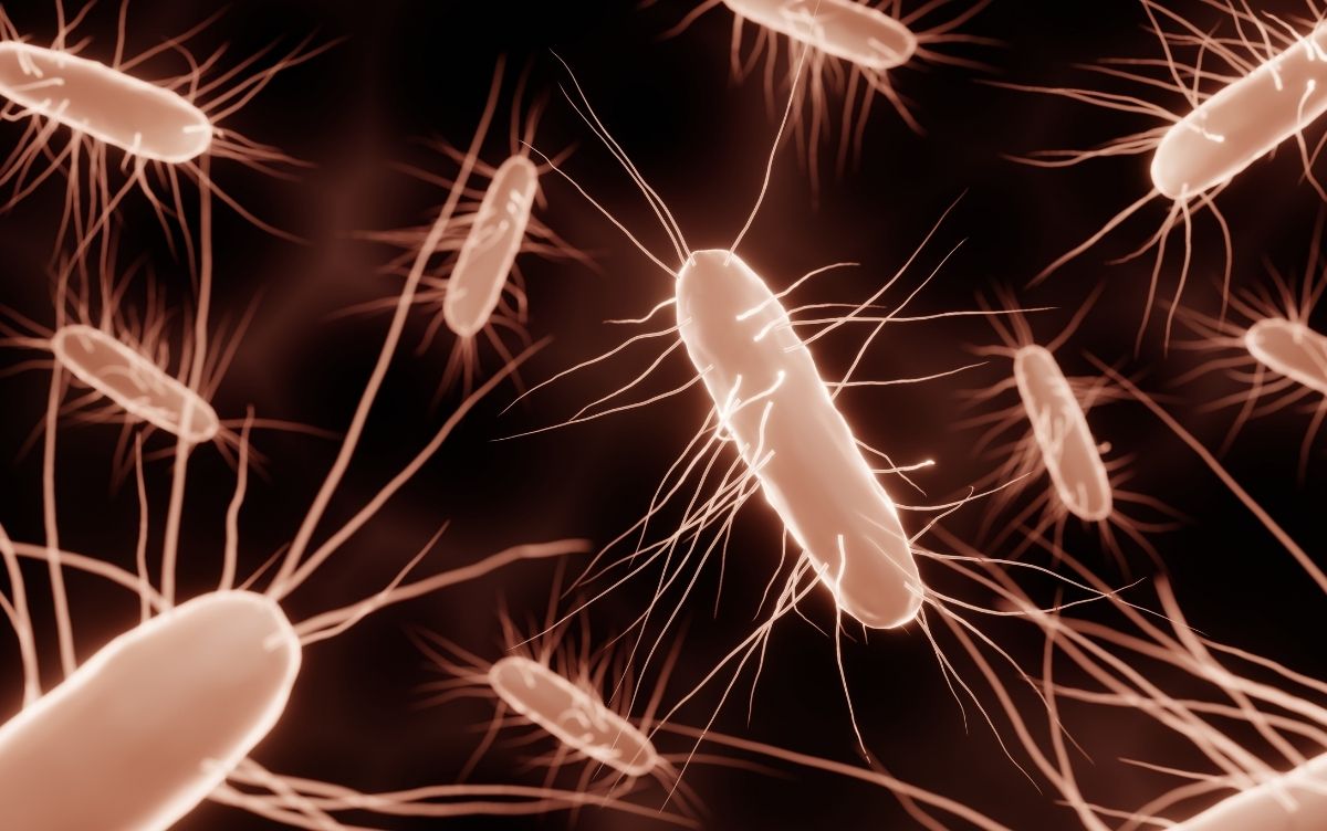3D illustration bacteria with visible flagella in an orange-tinted microscopic view.