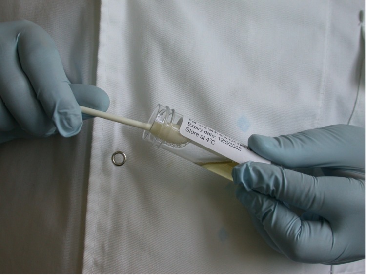 Swab being dipped in container
