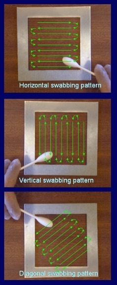 Swab being used the template area, rubbing in three directions: horizontal, vertical, and diagonal.