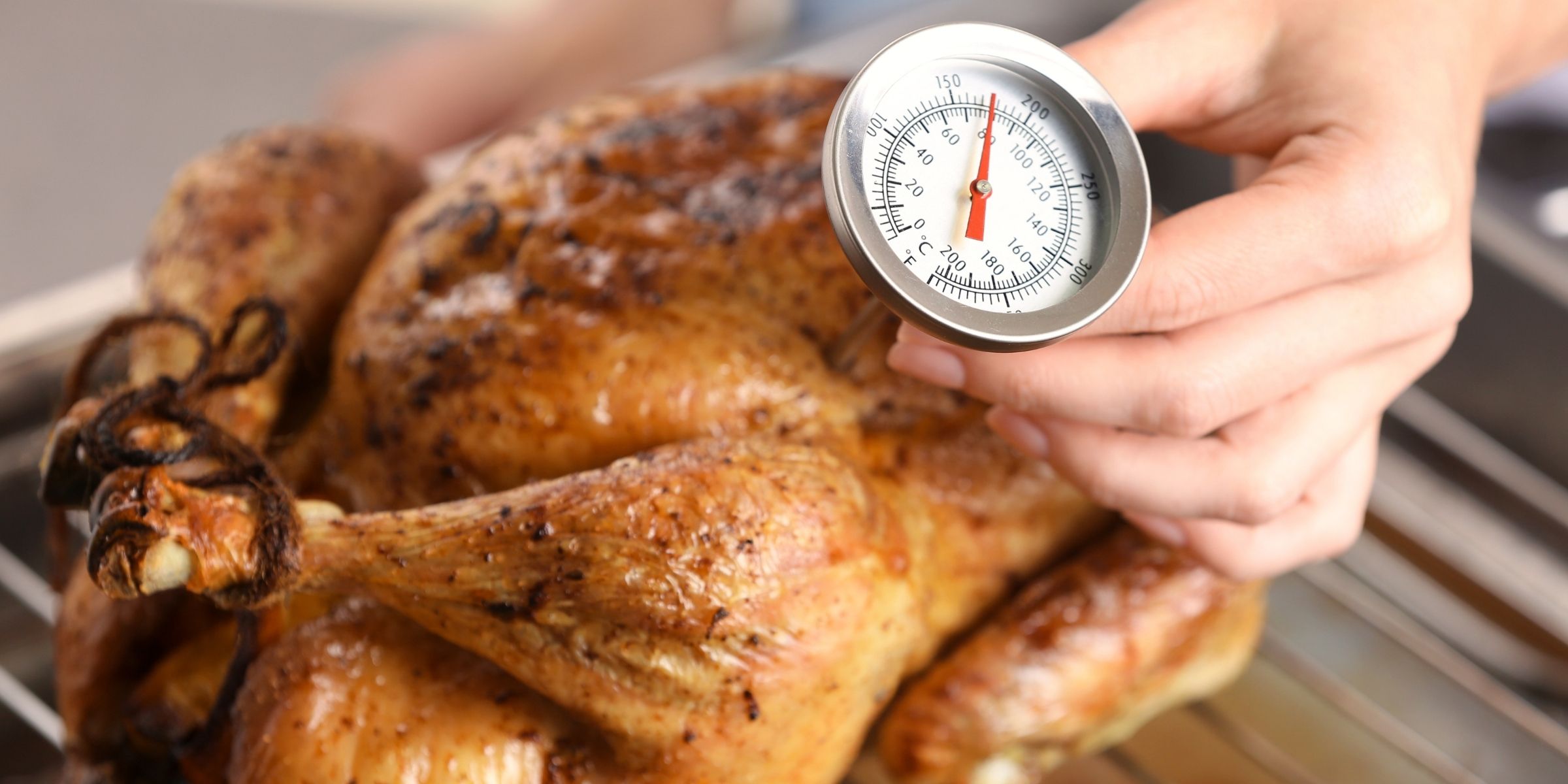 A person checking the temperature of a roasted turkey with a meat thermometer.